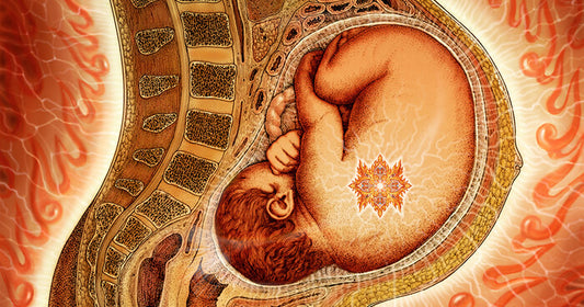 Understanding the Birth Matrix